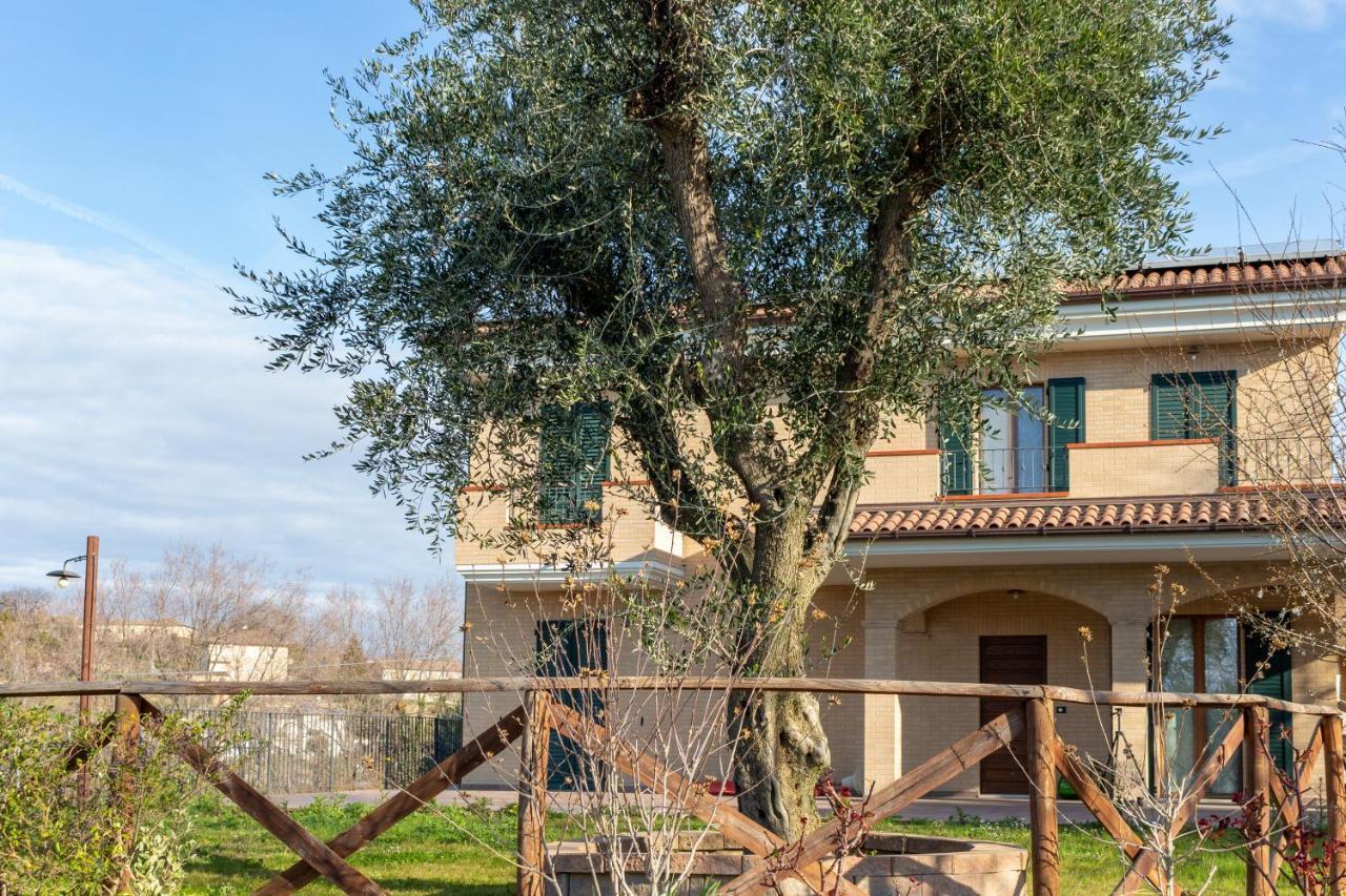 La Merlana Affittacamere Morrovalle Exterior photo